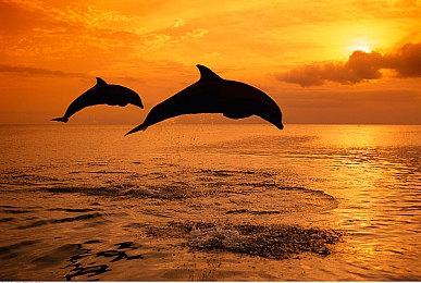 《海市蜃楼之馆》开发商冒险新作《项目代号M》公布